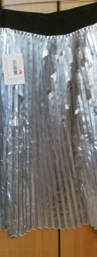 Silver shiny skirt
